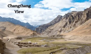 Read more about the article Changpa Tribe: Nomadic Life in Changthang, Ladakh 2024