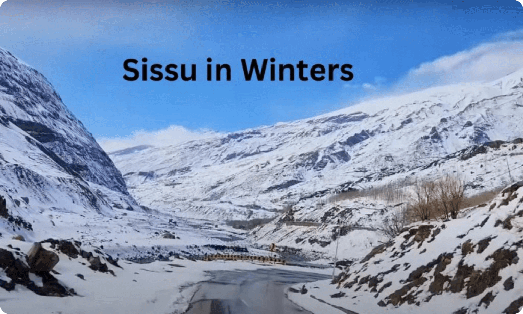 Sissu In winters