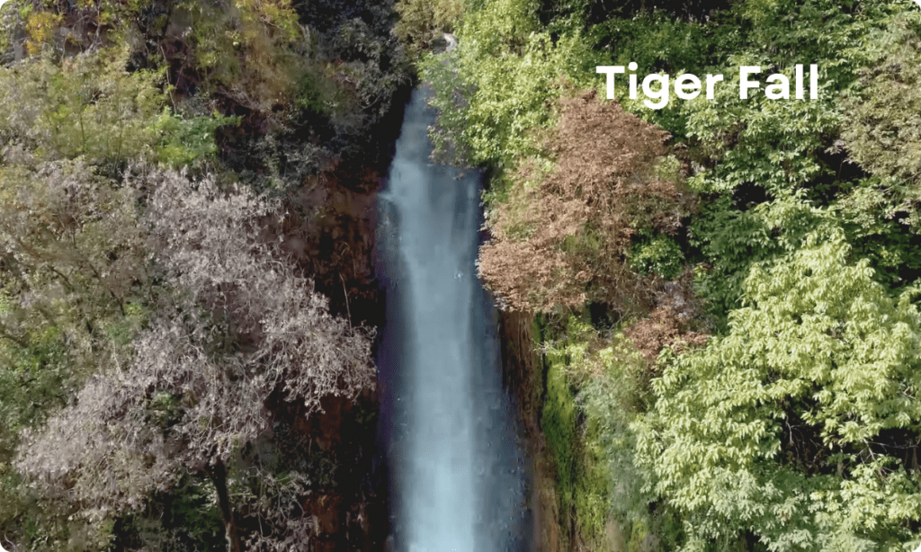 Tiger Fall
