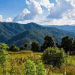 Binsar a Hidden Gem in Uttarakhand -Nature Retreat 2024