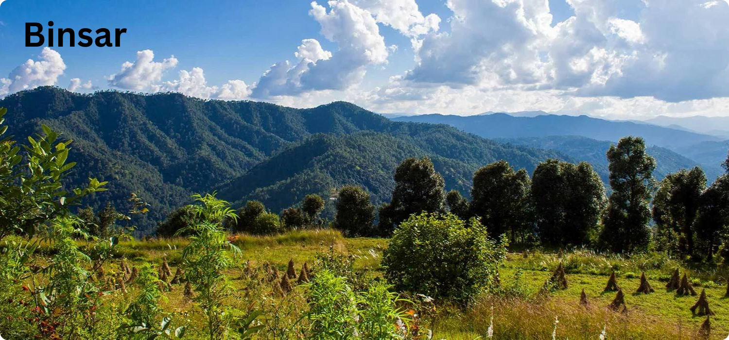 You are currently viewing Binsar a Hidden Gem in Uttarakhand -Nature Retreat 2024