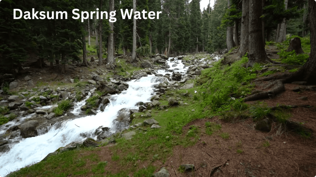 Daksum Spring Water