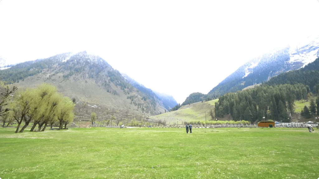 Betab Valley Ground