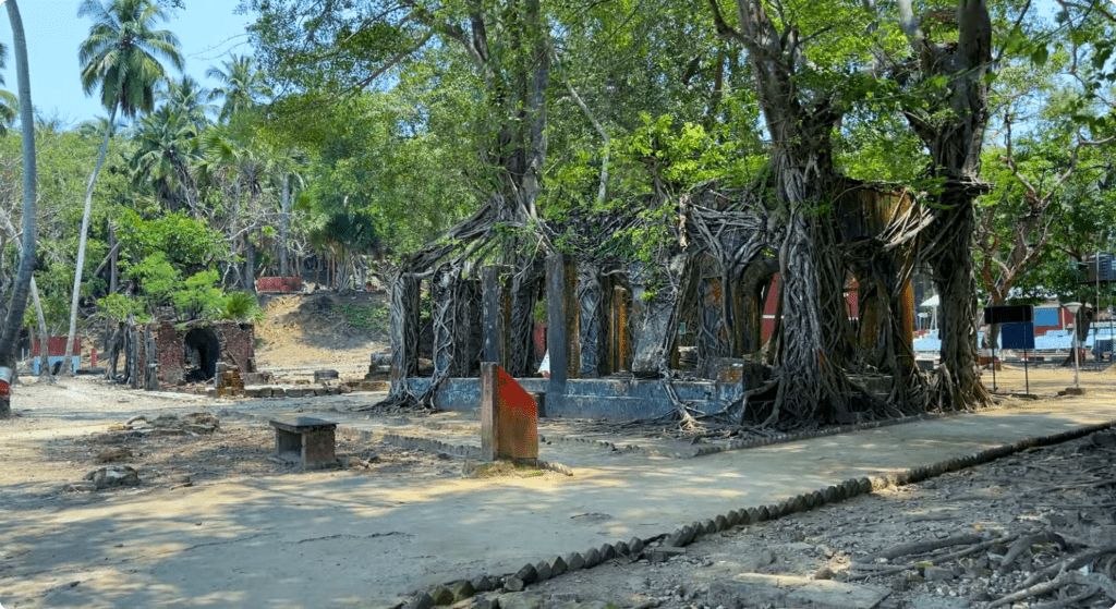 Netaji Subhash Chandra Bose Island